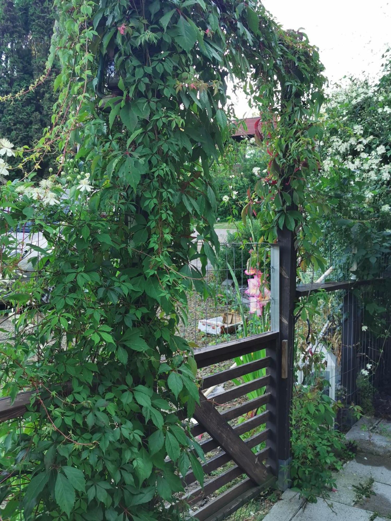 Guesthouse With Sauna Lahti Exterior photo